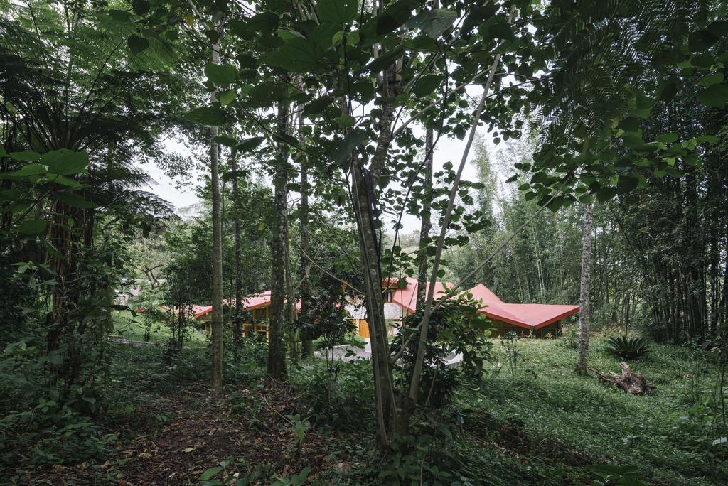 Hostal Tosepan Kali Cuetzalán del Progreso Екстериор снимка